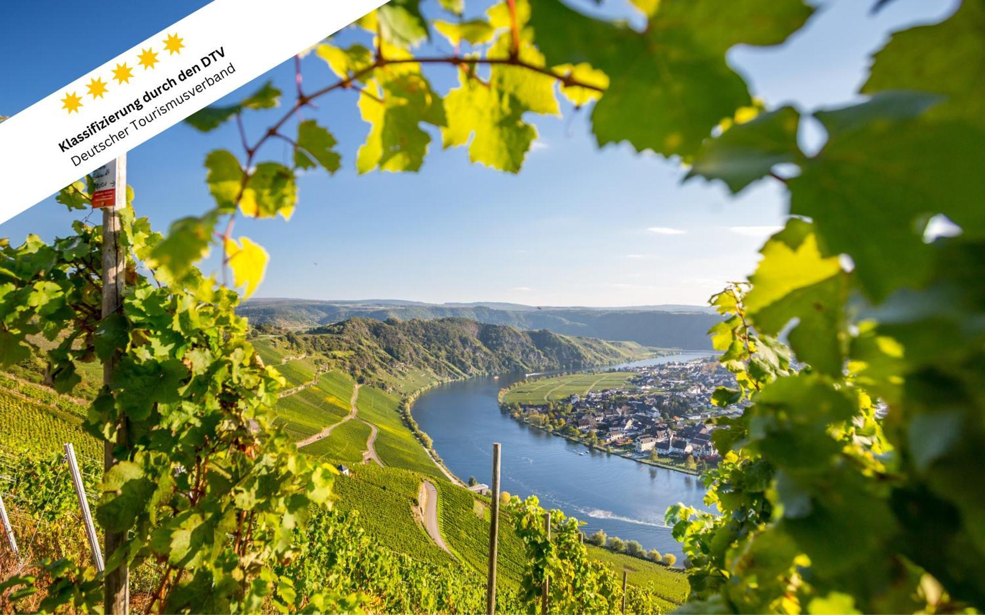 Apartamento Wohlfuehloase An Der Mosel Osann-Monzel Exterior foto